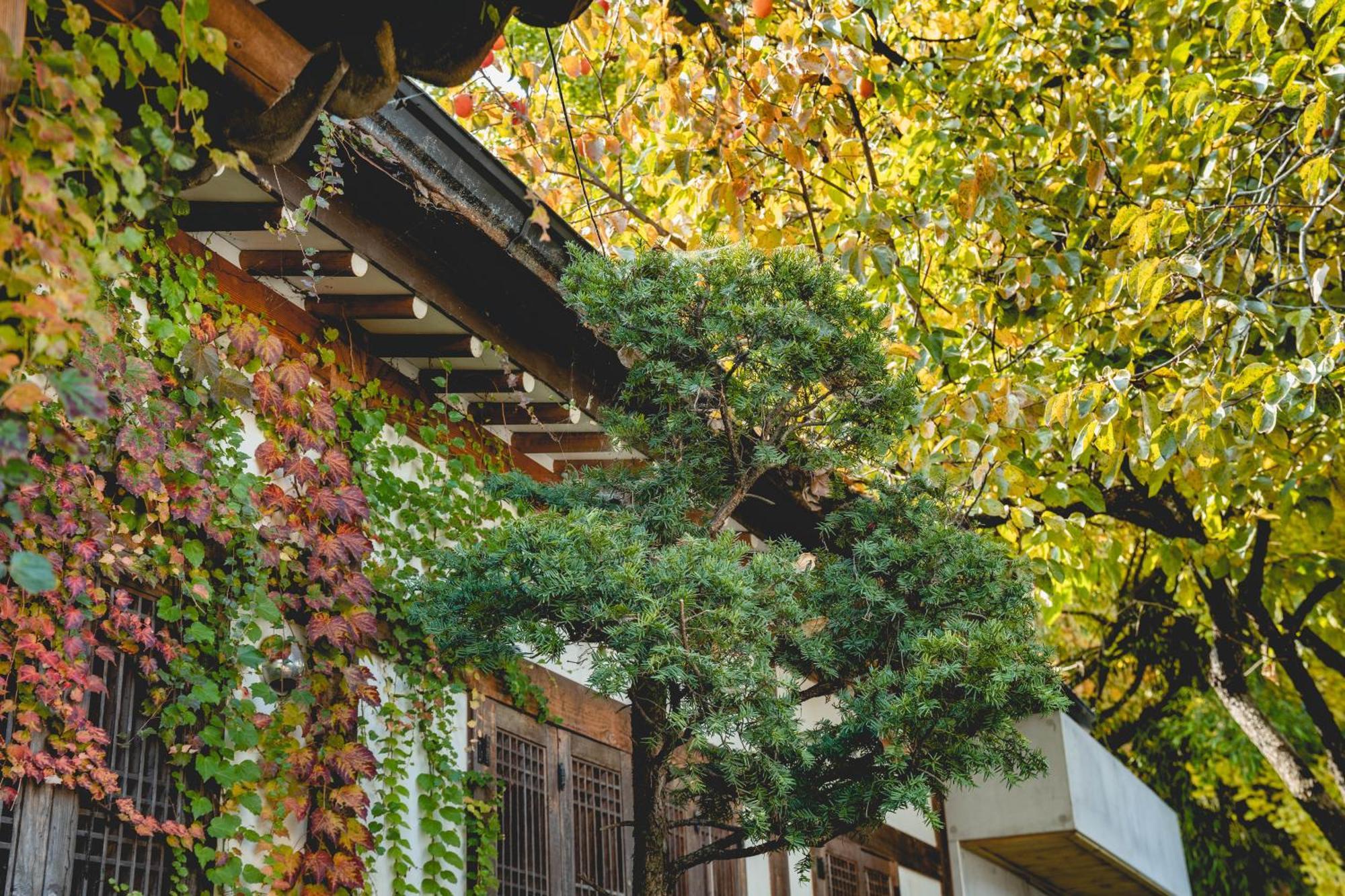 Hotelarrive Jeonju Sihwayeonpung Экстерьер фото